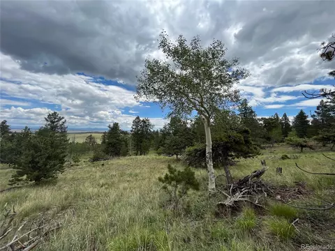 2235 Blacksmith Rd, Hartsel, CO 80449 photo 10