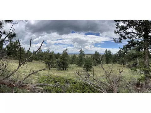 2235 Blacksmith Rd, Hartsel, CO 80449 photo 23