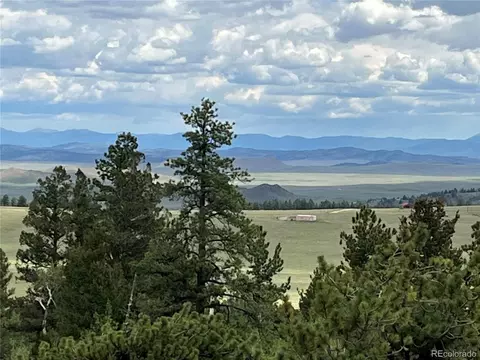 2235 Blacksmith Rd, Hartsel, CO 80449 photo 15