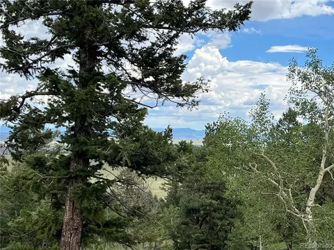 2235 Blacksmith Rd, Hartsel, CO 80449 photo 27