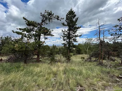 2235 Blacksmith Rd, Hartsel, CO 80449 photo 28