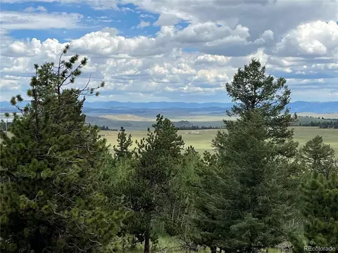 2235 Blacksmith Rd, Hartsel, CO 80449 photo 7