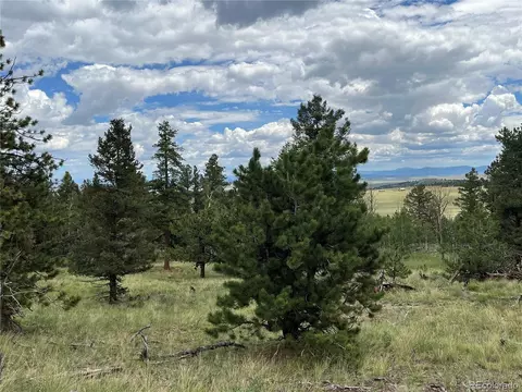 2235 Blacksmith Rd, Hartsel, CO 80449 photo 8