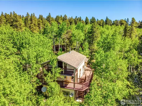 298 Evergreen Way, Nederland, CO 80466