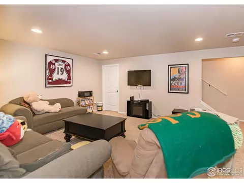 2147 Cape Hatteras Dr, Windsor, CO 80550 photo 28
