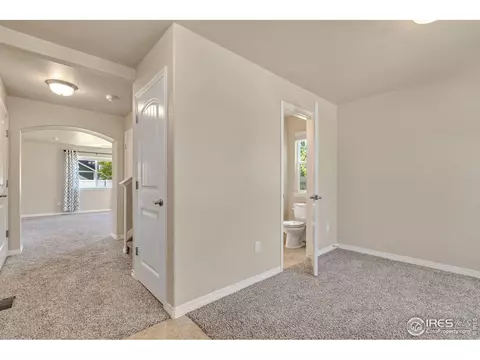 591 Dakota Ct, Windsor, CO 80550 photo 5