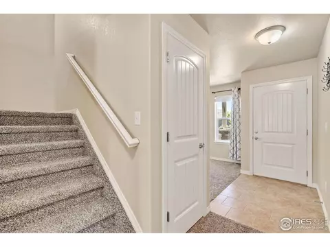 591 Dakota Ct, Windsor, CO 80550 photo 17
