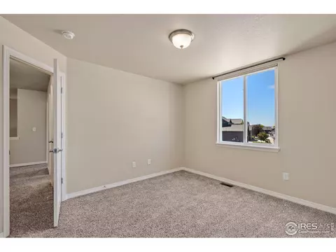 591 Dakota Ct, Windsor, CO 80550 photo 22
