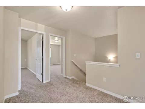 591 Dakota Ct, Windsor, CO 80550 photo 18