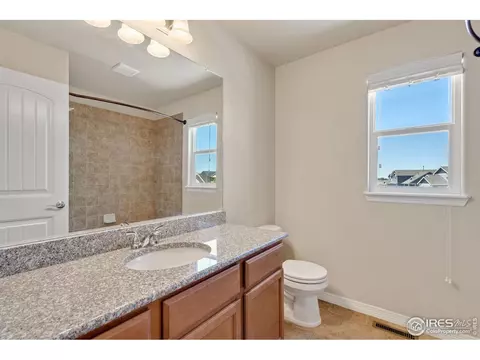 591 Dakota Ct, Windsor, CO 80550 photo 23