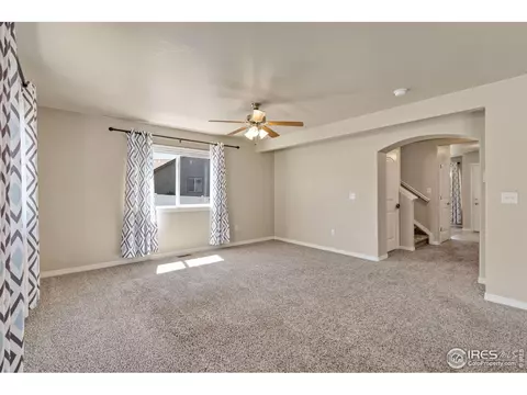 591 Dakota Ct, Windsor, CO 80550 photo 14