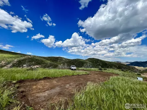 Haley Peak Ct, Livermore, CO 80536