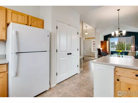 922 Barasingha St, Severance, CO 80550 photo 15