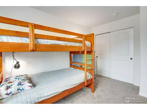 922 Barasingha St, Severance, CO 80550 photo 25