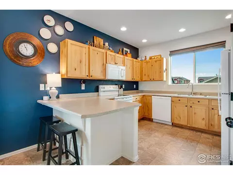 922 Barasingha St, Severance, CO 80550 photo 13