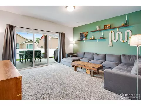 922 Barasingha St, Severance, CO 80550 photo 16