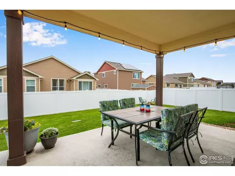 922 Barasingha St, Severance, CO 80550 photo 30