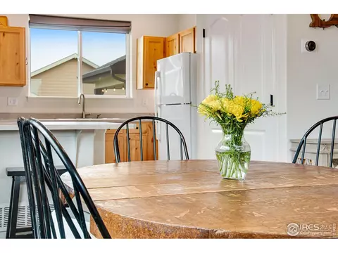 922 Barasingha St, Severance, CO 80550 photo 12