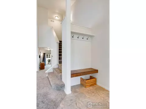 922 Barasingha St, Severance, CO 80550 photo 4