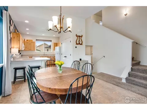 922 Barasingha St, Severance, CO 80550 photo 10