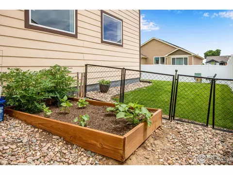 922 Barasingha St, Severance, CO 80550 photo 37