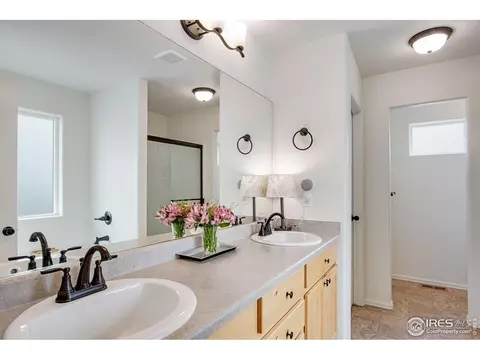 922 Barasingha St, Severance, CO 80550 photo 22