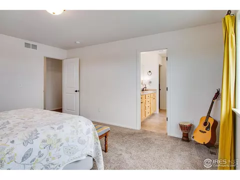922 Barasingha St, Severance, CO 80550 photo 21