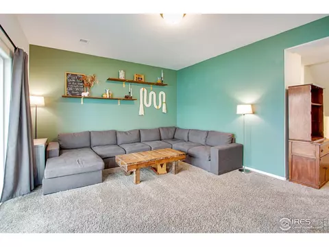 922 Barasingha St, Severance, CO 80550 photo 18