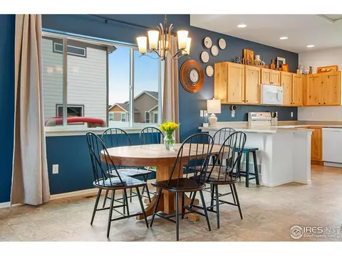922 Barasingha St, Severance, CO 80550 photo 11