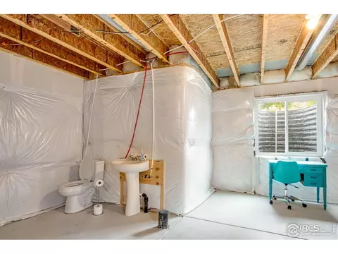922 Barasingha St, Severance, CO 80550 photo 29