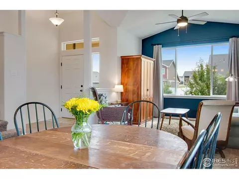 922 Barasingha St, Severance, CO 80550 photo 8