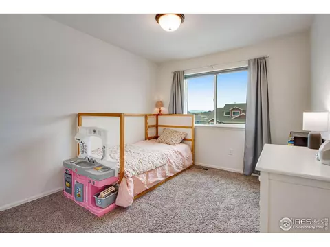 922 Barasingha St, Severance, CO 80550 photo 27