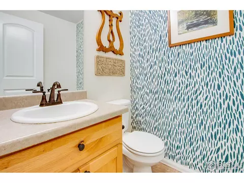 922 Barasingha St, Severance, CO 80550 photo 19
