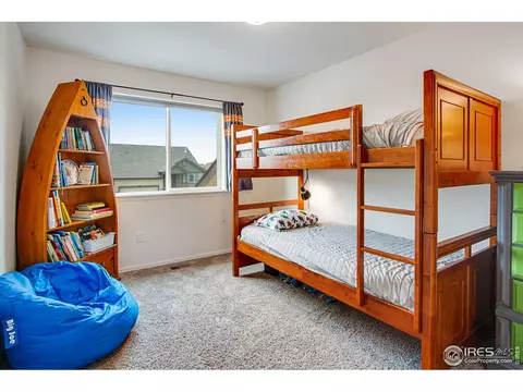 922 Barasingha St, Severance, CO 80550 photo 24
