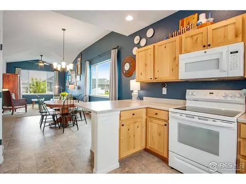 922 Barasingha St, Severance, CO 80550 photo 14