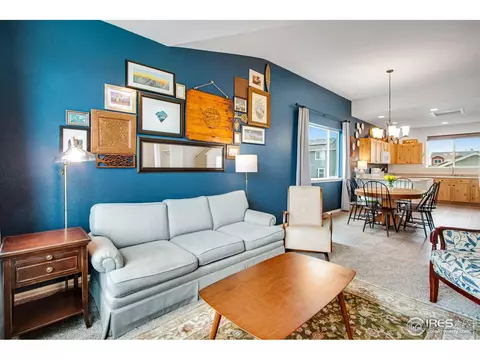 922 Barasingha St, Severance, CO 80550 photo 7