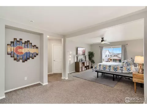 1771 Summer Bloom Dr, Windsor, CO 80550 photo 15
