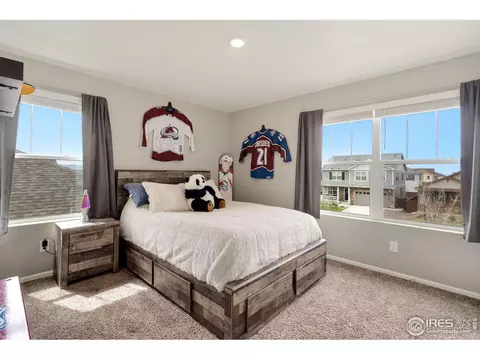 1771 Summer Bloom Dr, Windsor, CO 80550 photo 20