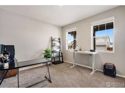 1771 Summer Bloom Dr, Windsor, CO 80550 photo 4