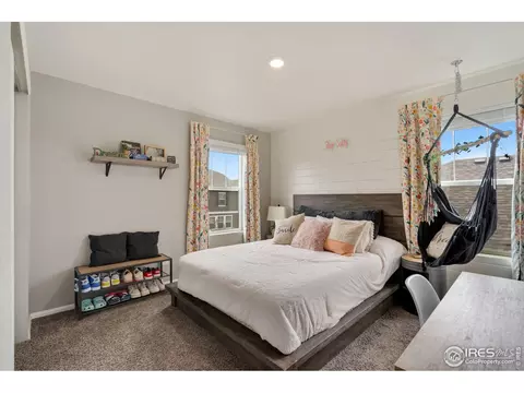 1771 Summer Bloom Dr, Windsor, CO 80550 photo 19