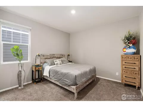 1771 Summer Bloom Dr, Windsor, CO 80550 photo 18