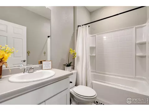 1771 Summer Bloom Dr, Windsor, CO 80550 photo 23