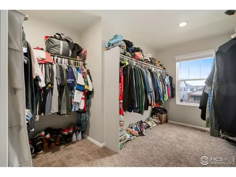 1771 Summer Bloom Dr, Windsor, CO 80550 photo 17