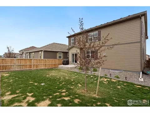 1771 Summer Bloom Dr, Windsor, CO 80550 photo 30