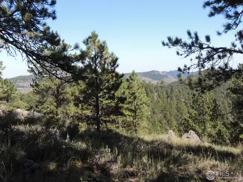 145 N Devils Creek Trl, Livermore, CO 80536