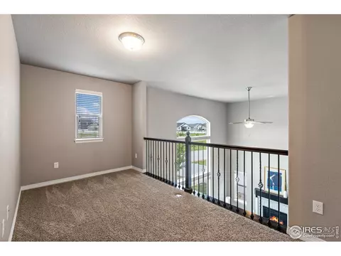 4775 Waltham Dr, Windsor, CO 80550 photo 24