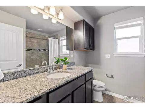 4775 Waltham Dr, Windsor, CO 80550 photo 27