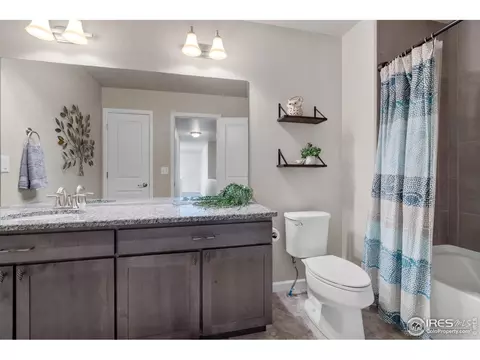 1807 Saddleback Dr, Milliken, CO 80543 photo 29