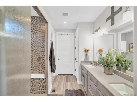 Bath - 20384 E 53rd Dr, Denver, CO 80249 photo 1 of 8