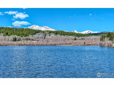 173 County Road 96 Rd, Ward, CO 80481 photo 11